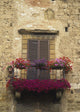 Flower Covered Balcony Wall Mural