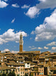 Torre De Mangia And Siena Skyline Wall Mural