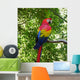 Macaw Wall Decal