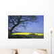 Yellow Rape Seed Field And Tree Wall Mural