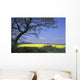 Yellow Rape Seed Field And Tree Wall Mural