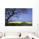 Yellow Rape Seed Field And Tree Wall Mural