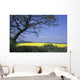 Yellow Rape Seed Field And Tree Wall Mural
