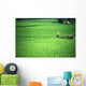 Man With Water Buffalo In Field Wall Mural