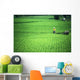 Man With Water Buffalo In Field Wall Mural