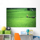 Man With Water Buffalo In Field Wall Mural