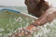 A Man Paddling On His Surfboard Off Valdevequeros Beach Wall Mural