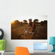A Man Riding His Bike Through Tall Grass At Sunset Wall Mural