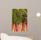 Colorful Rainbow Swiss Chard Wall Mural