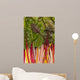 Colorful Rainbow Swiss Chard Wall Mural