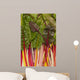 Colorful Rainbow Swiss Chard Wall Mural