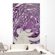 Cross Section Of A Red Cabbage Wall Mural