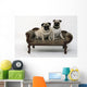 Two Chubby Pug Dogs Wall Decal
