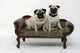 Two Chubby Pug Dogs Wall Decal