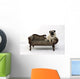 Thick pug dogs on the sofa Wall Decal
