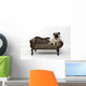 Thick pug dogs on the sofa Wall Decal