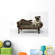Thick pug dogs on the sofa Wall Decal
