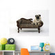Thick pug dogs on the sofa Wall Decal