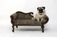 Thick pug dogs on the sofa Wall Decal