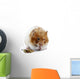A female Syrian hamster eating Wall Decal