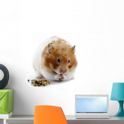 Female Syrian Hamster Eating Wall Decal shown on a wall