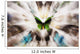 Focus On A Green Butterfly With Images Of Butterflies Surrounding It Wall Mural