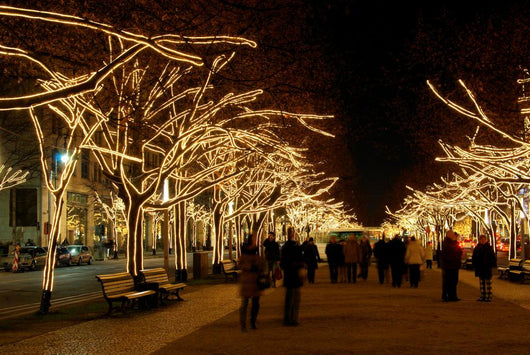 Berlin Unter den Linden Christmas 03 Wall Mural