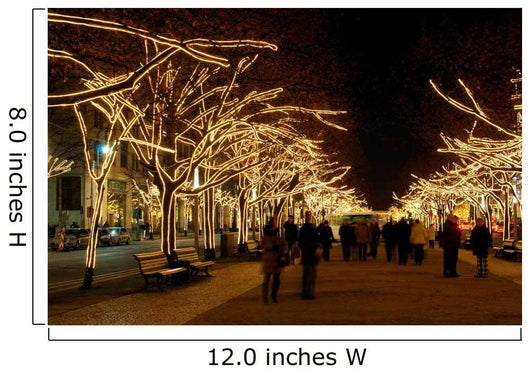 Berlin Unter den Linden Christmas 03 Wall Mural