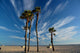 Santa Monica Beach, California Wall Mural
