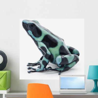 Black and Green Poison Wall Decal shown on a wall