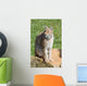 iberian lynx Wall Mural