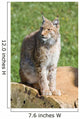 iberian lynx Wall Mural