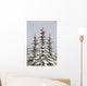Snow Covered Evergreen Trees Wall Mural