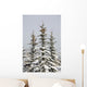 Snow Covered Evergreen Trees Wall Mural