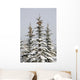 Snow Covered Evergreen Trees Wall Mural