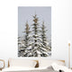 Snow Covered Evergreen Trees Wall Mural