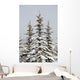 Snow Covered Evergreen Trees Wall Mural