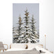 Snow Covered Evergreen Trees Wall Mural