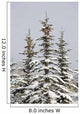 Snow Covered Evergreen Trees Wall Mural