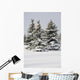 Snow Covered Evergreen Trees Wall Mural