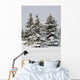 Snow Covered Evergreen Trees Wall Mural