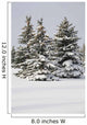 Snow Covered Evergreen Trees Wall Mural