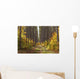 Path Into The Forest In Autumn Wall Mural