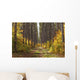 Path Into The Forest In Autumn Wall Mural