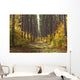 Path Into The Forest In Autumn Wall Mural