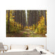 Path Into The Forest In Autumn Wall Mural
