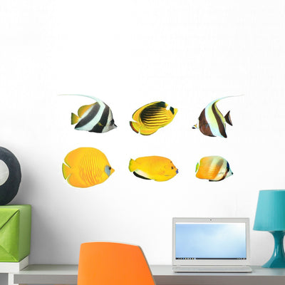 Yellow Tropical Reef Fish Wall Decal Sticker Set shown on a wall