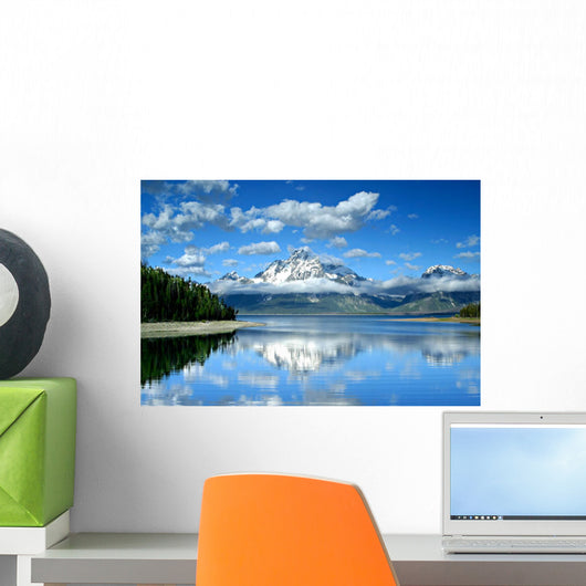 Lake Jackson Wall Mural