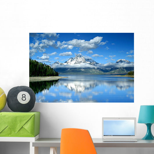 Lake Jackson Wall Mural