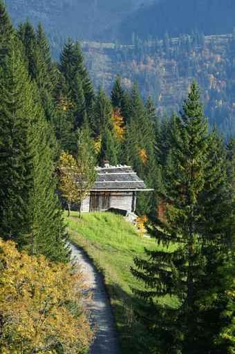 Ma Cabane Wall Decal